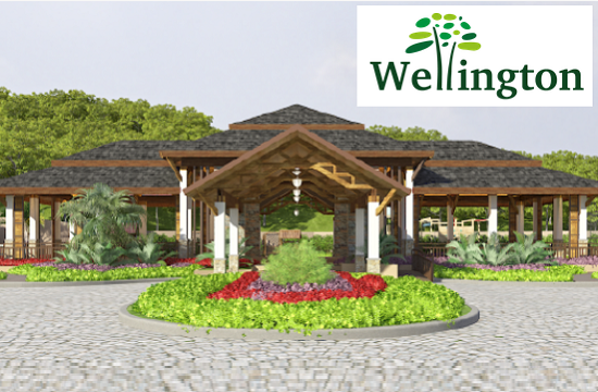 Paramount Properties: The Wellington Greens Compostela Cebu